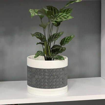 Ramen Bowl Planter | Slurp-Worthy Style for Your Plants