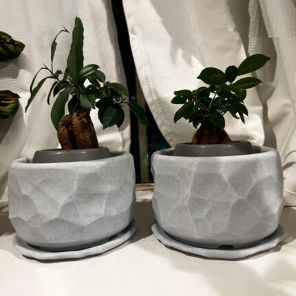 Stone Planter | Minimalist Rock-Inspired Elegance